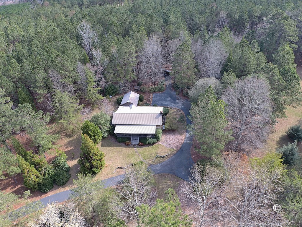 7935 Old Zebulon Road Molena, GA 30258 - Photo 2 of 41 Gallery Image 2