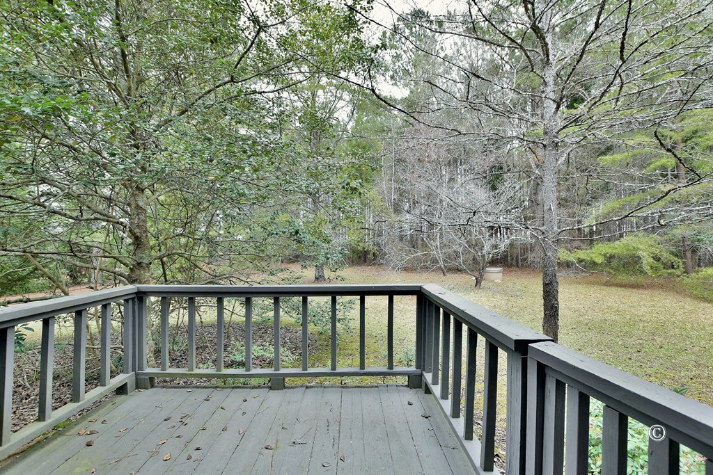 7935 Old Zebulon Road Molena, GA 30258 - Photo 22 of 41 Gallery Image 22
