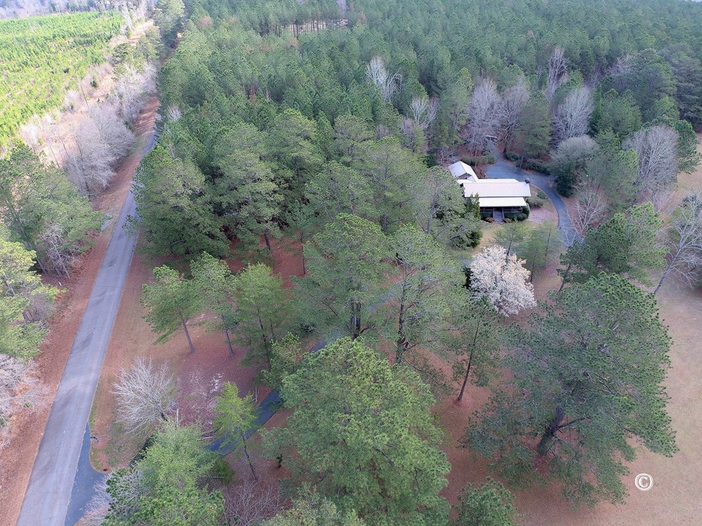 7935 Old Zebulon Road Molena, GA 30258 - Photo 3 of 41 Gallery Image 3