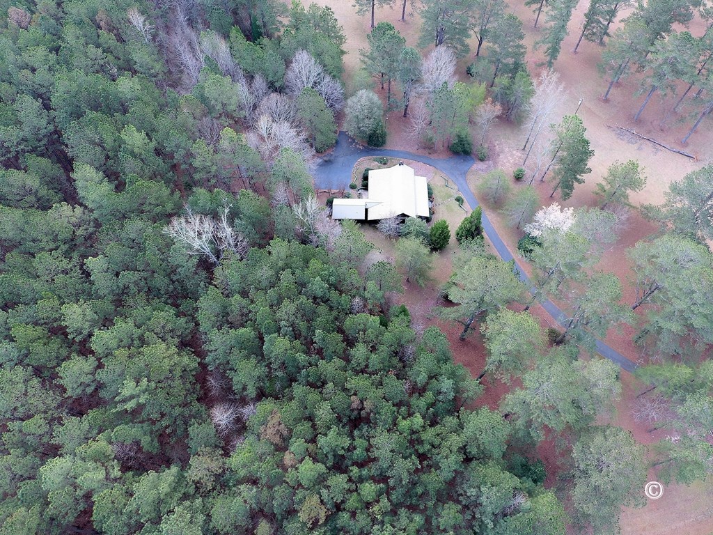 7935 Old Zebulon Road Molena, GA 30258 - Photo 4 of 41 Gallery Image 4