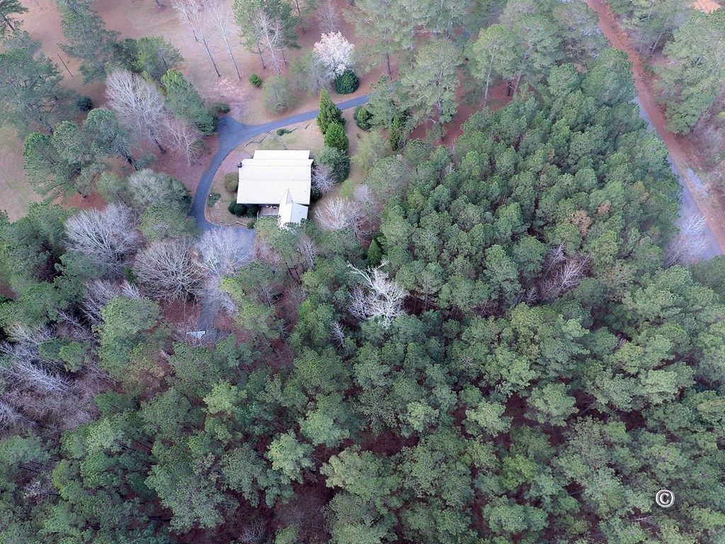 7935 Old Zebulon Road Molena, GA 30258 - Photo 5 of 41 Gallery Image 5