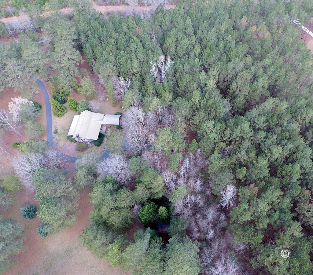 7935 Old Zebulon Road Molena, GA 30258 - Photo 6 of 41 Gallery Image 6