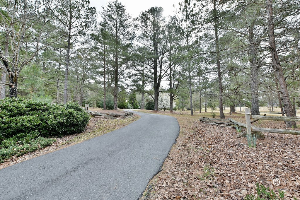 7935 Old Zebulon Road Molena, GA 30258 - Photo 9 of 41 Gallery Image 9