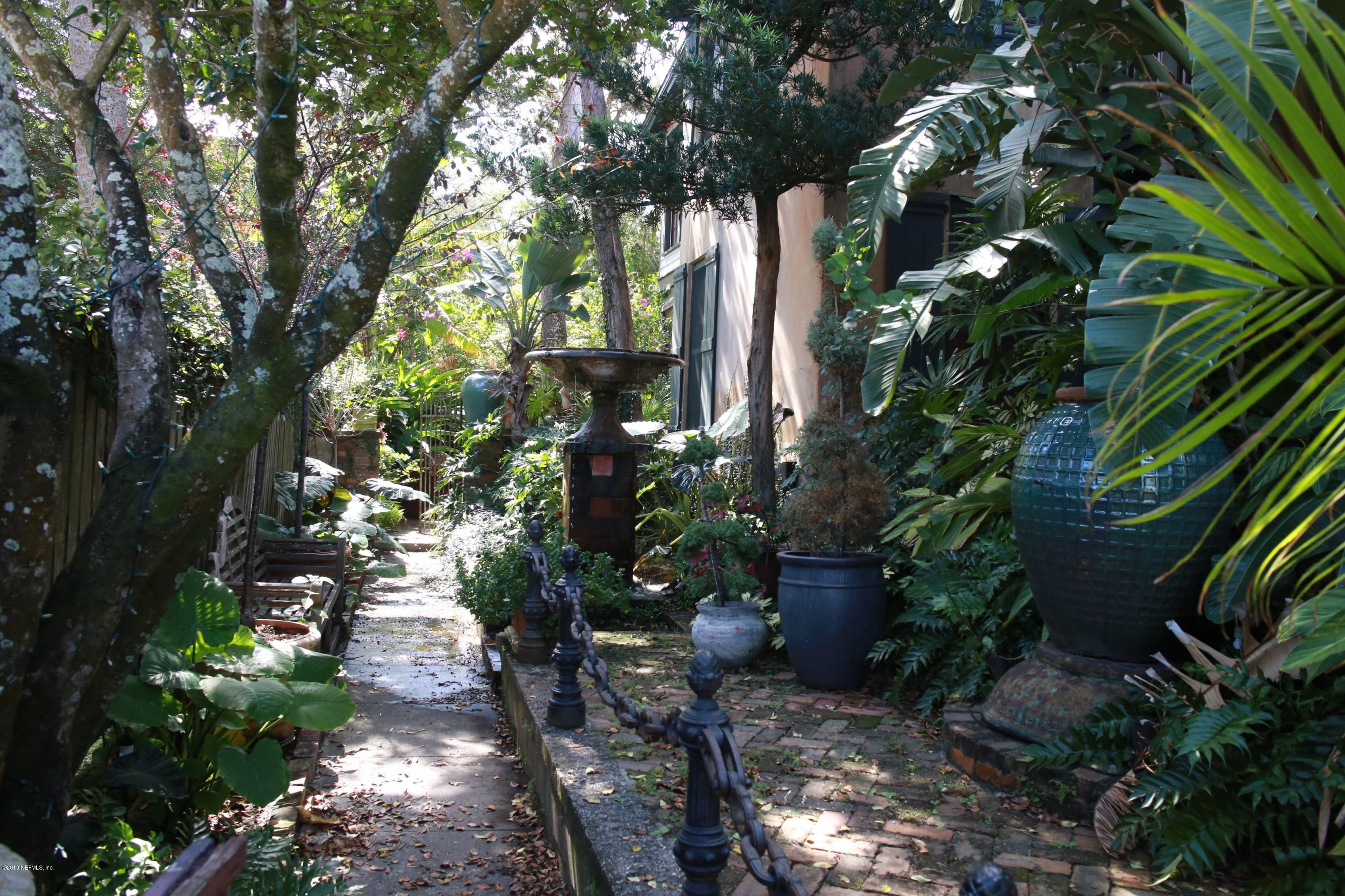 15 Bridge Street St. Augustine, FL 32084 - Photo 31 of 37 a plant with lots of trees