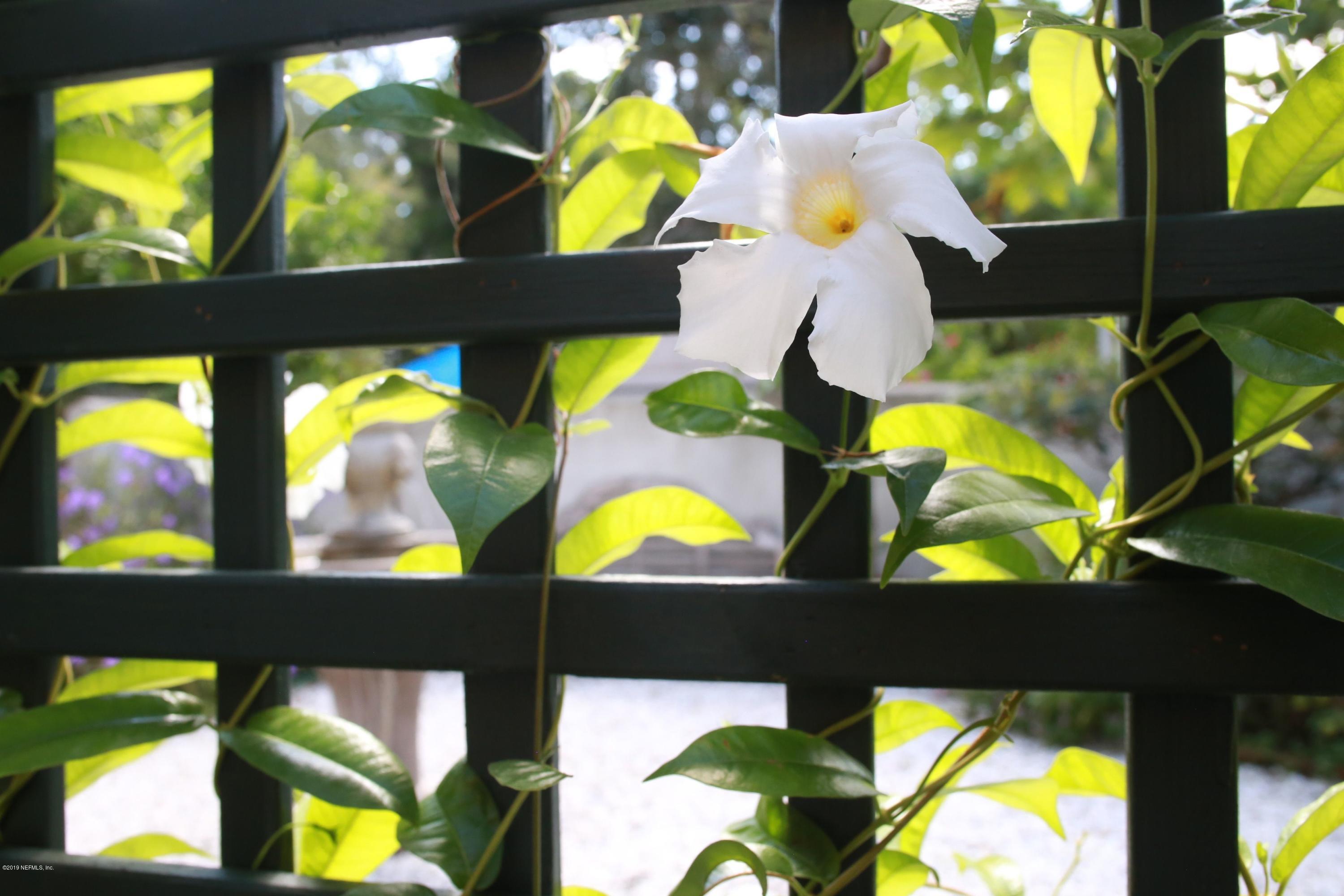 15 Bridge Street St. Augustine, FL 32084 - Photo 35 of 37 view of living room with furniture and a floor to ceiling window