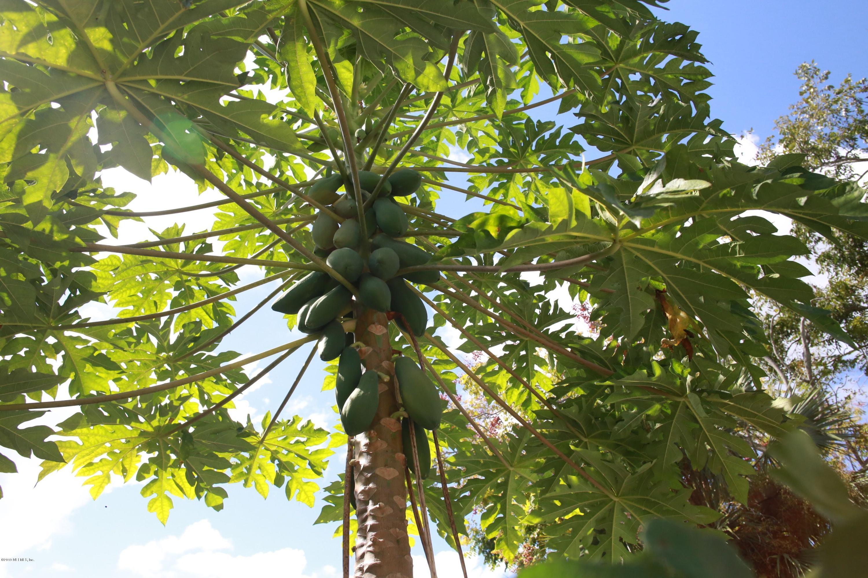 15 Bridge Street St. Augustine, FL 32084 - Photo 36 of 37