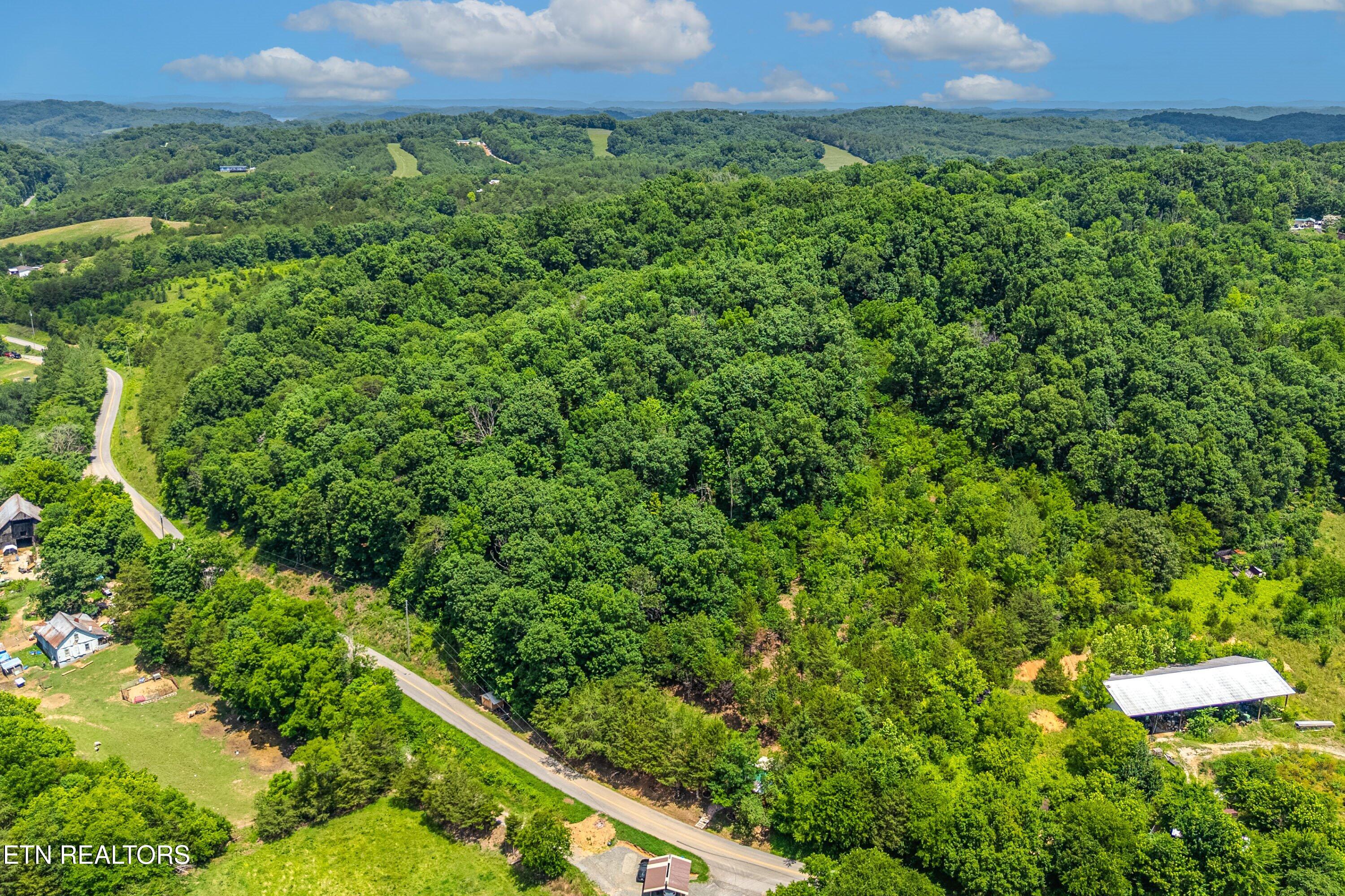 2165 Smelcer Road Parrottsville, TN 37843 - Photo 8 of 18 06-Lot Line A6