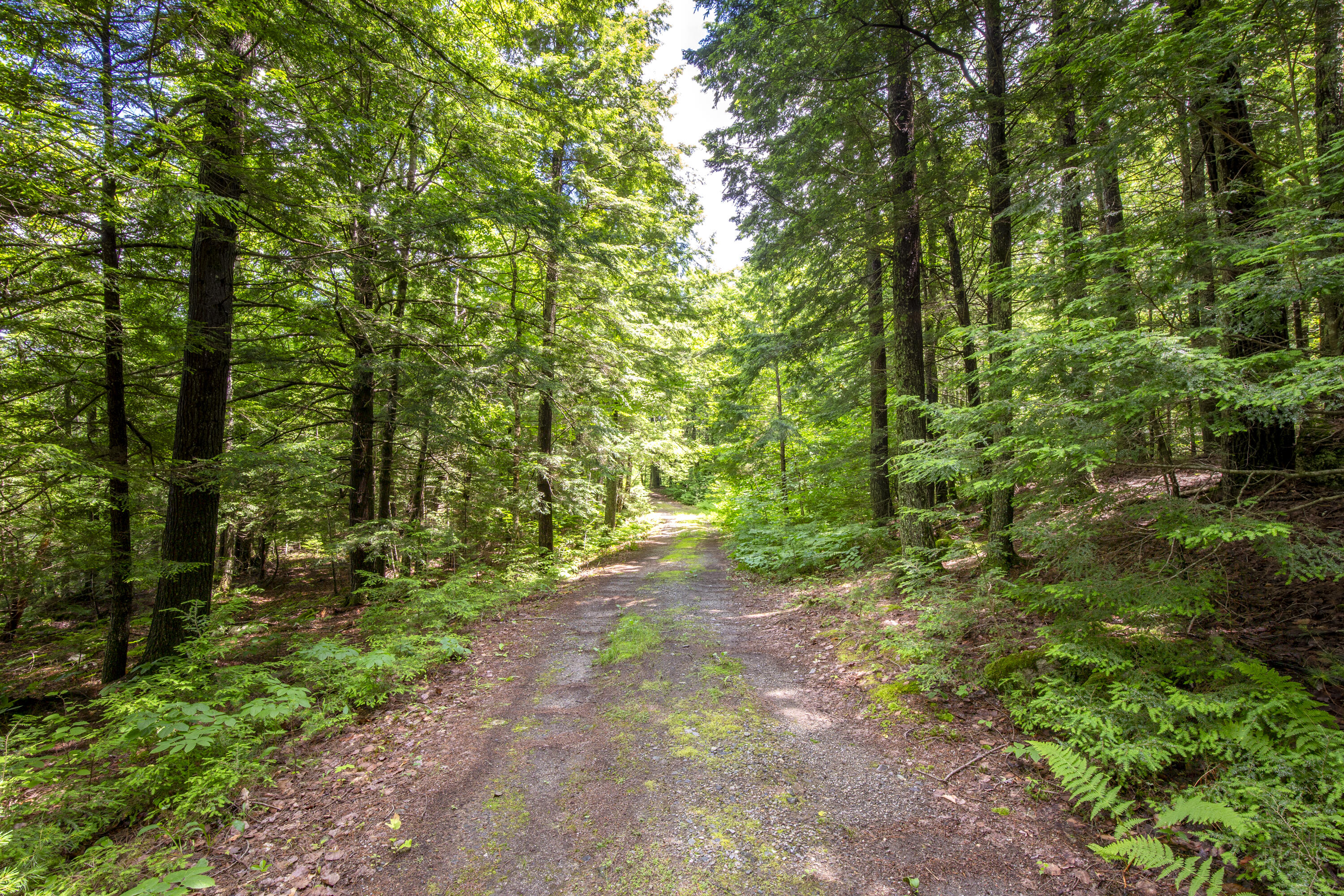 54 Jefferson Road Whitefield, ME 04353 - Photo 40 of 50 50-54JeffersonRd-Whitefield-KS