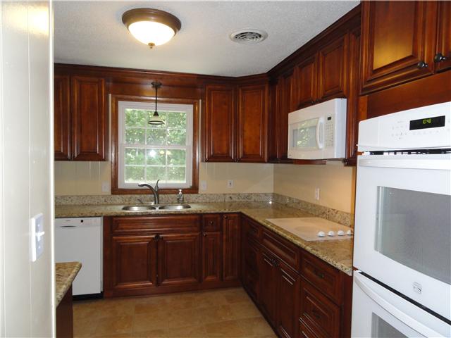 1050 Steel Springs Road Clarksville, TN 37040 - Photo 10 of 20 View of kitchen from hallway featuring the great view of the backyard from the sink area, great pendant light and updated fixtures.