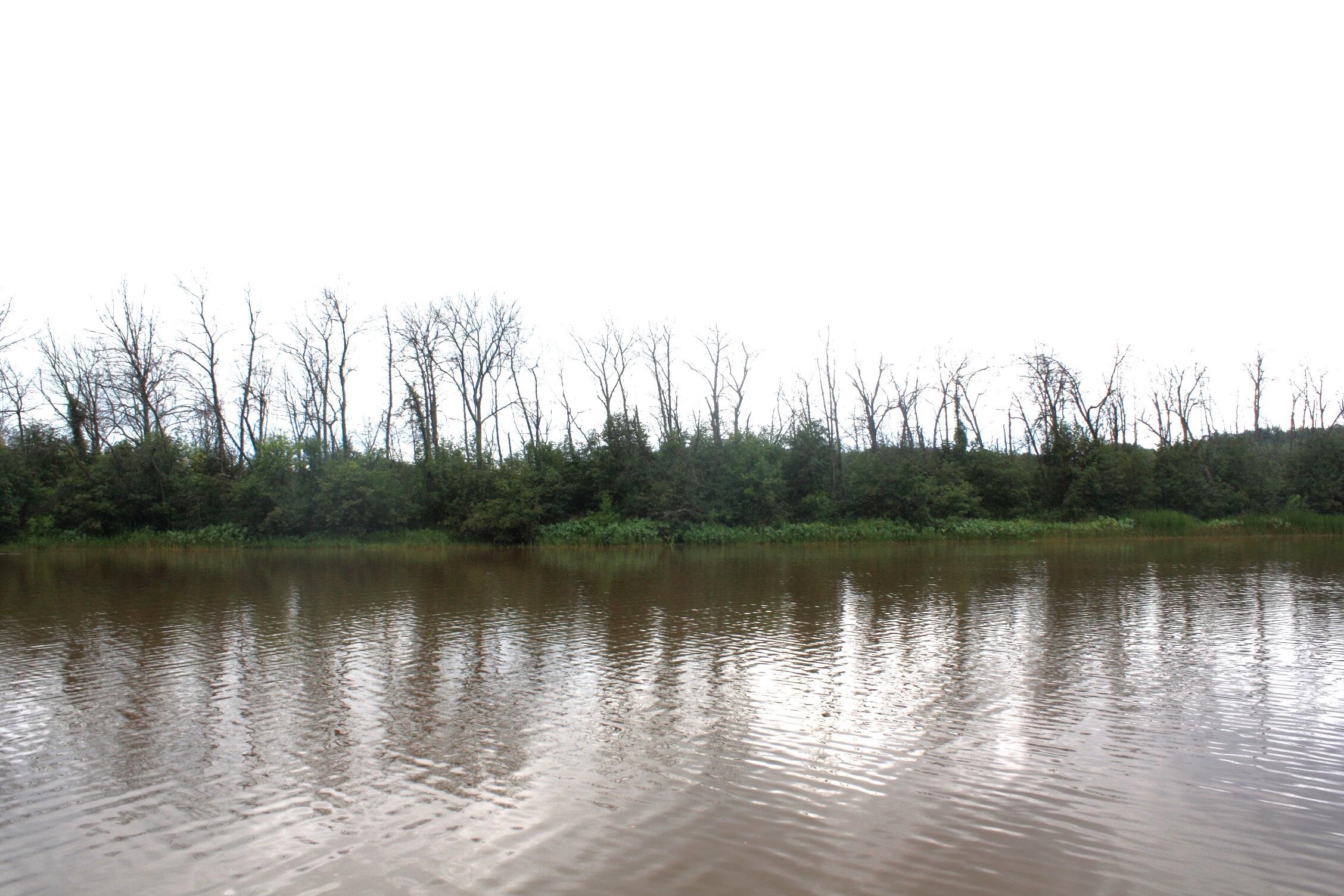 36-xx East 6th Street Superior, WI 54880 - Photo 14 of 17