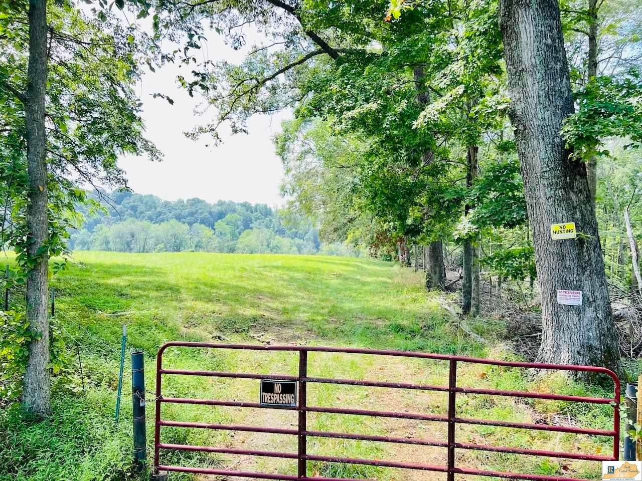 0 Little Joe Conover Road Columbia, KY 42728 - Photo 1 of 1 Gallery Image 1