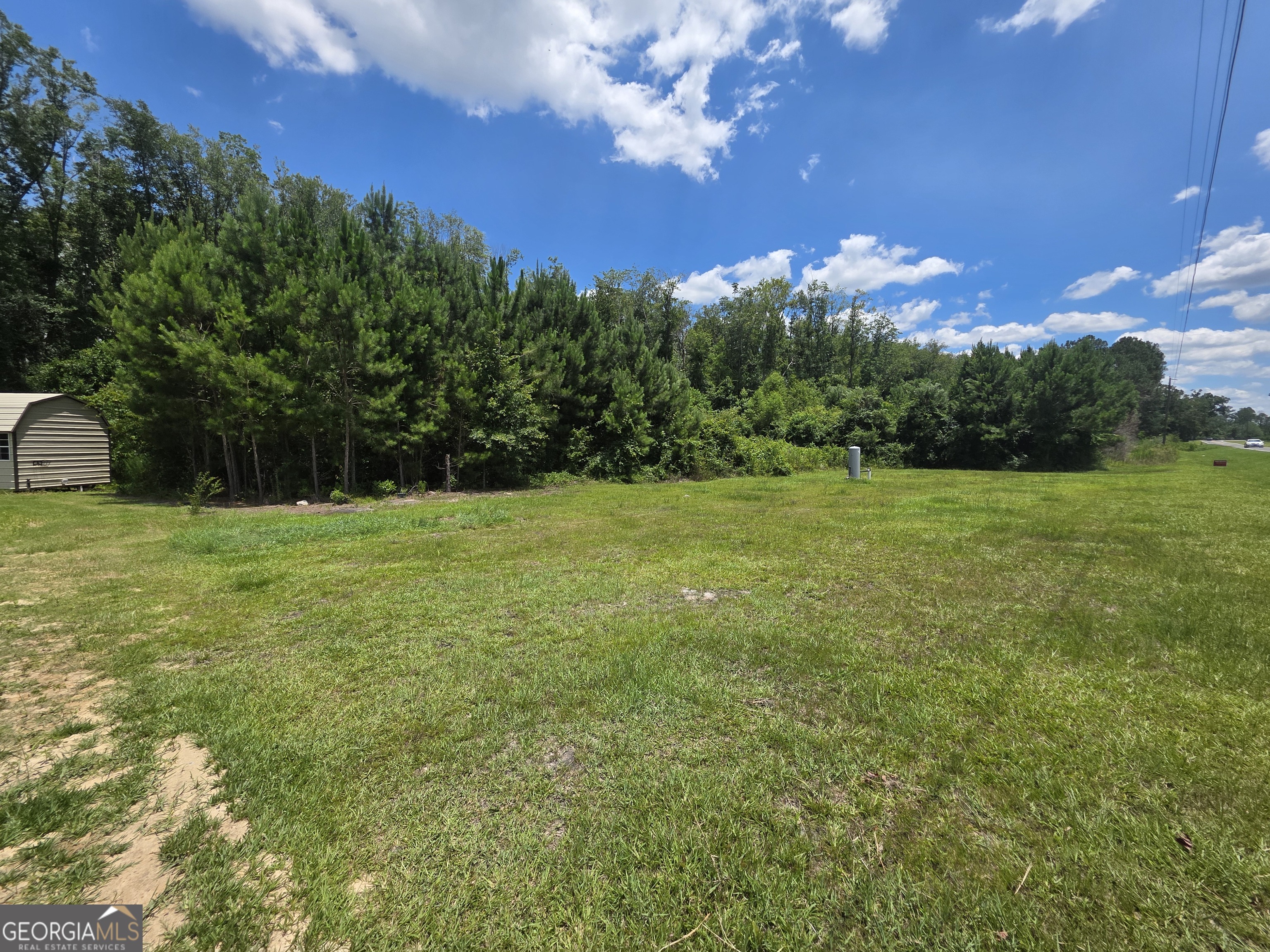 607 Prentiss Road Baxley, GA 31513 - Photo 8 of 19