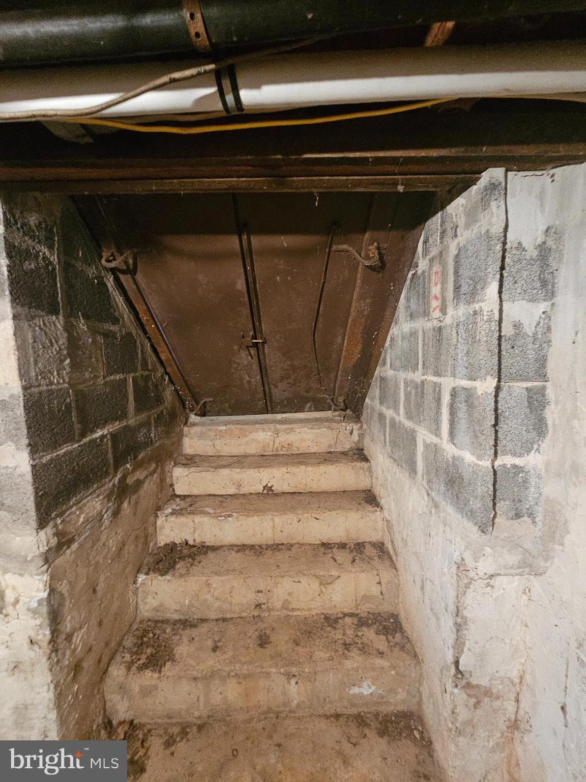 1130 McKean Road Ambler, PA 19002 - Photo 25 of 32 Basement Bilco door