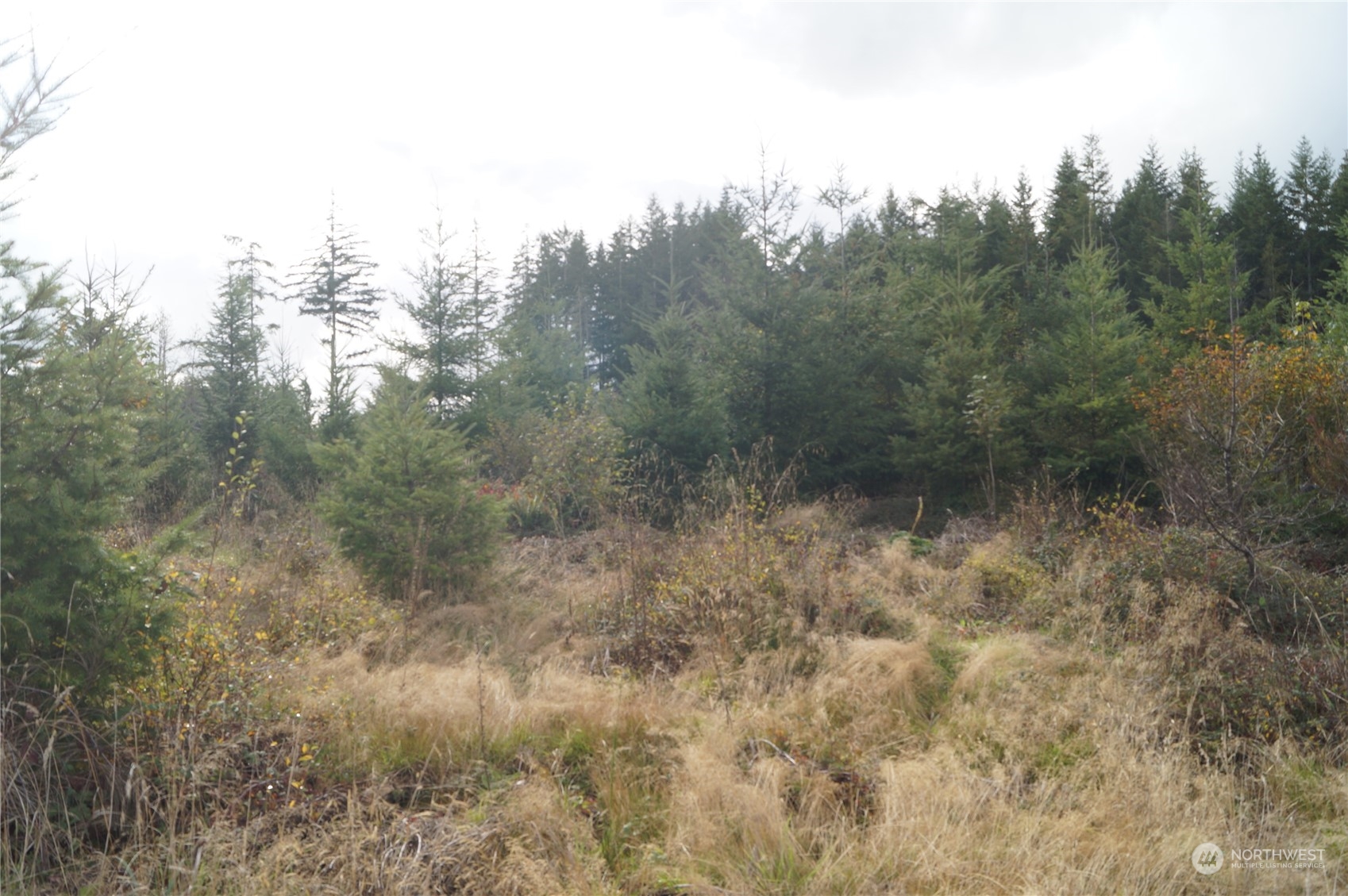 -off Of West Ford Loop Road Elma, WA 98541 - Photo 1 of 6 Gallery Image 1