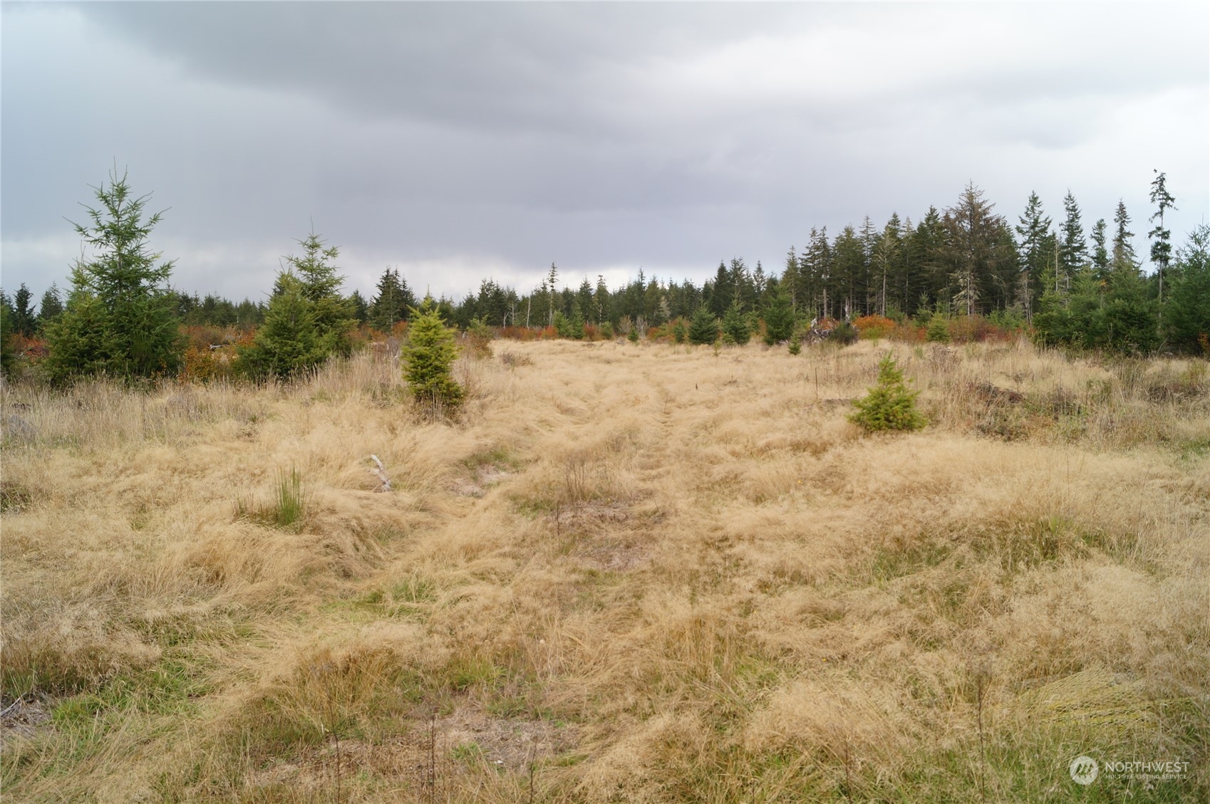 -off Of West Ford Loop Road Elma, WA 98541 - Photo 2 of 6 Gallery Image 2