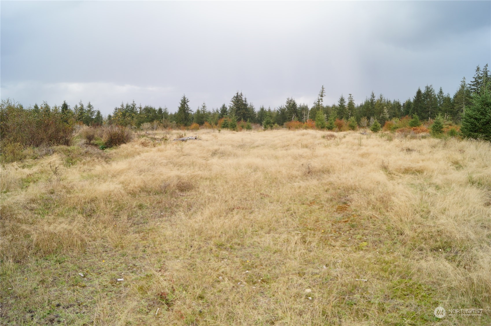 -off Of West Ford Loop Road Elma, WA 98541 - Photo 3 of 6 Gallery Image 3