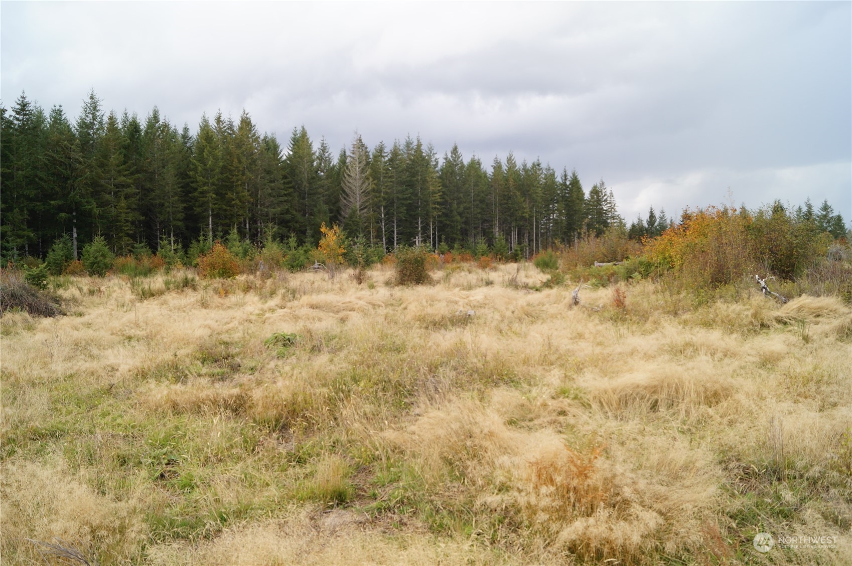 -off Of West Ford Loop Road Elma, WA 98541 - Photo 4 of 6 Gallery Image 4