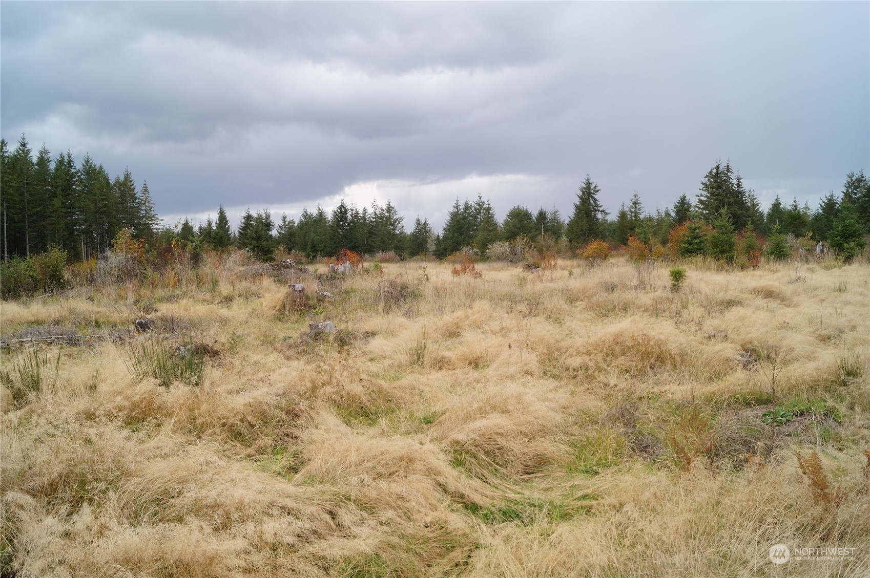 -off Of West Ford Loop Road Elma, WA 98541 - Photo 5 of 6 Gallery Image 5