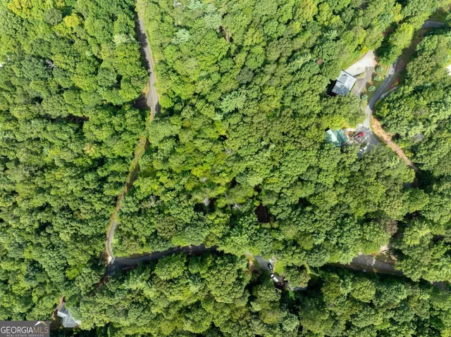a view of a lush green hillside and a mountain