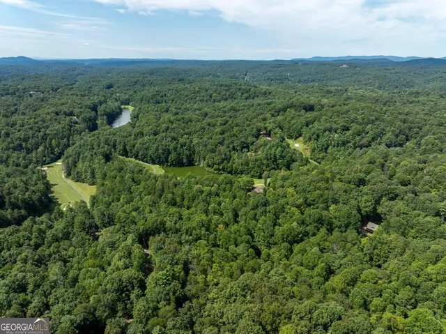a view of a lush green hillside and a mountain