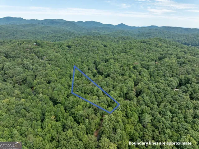 a view of a tree in the middle of a yard