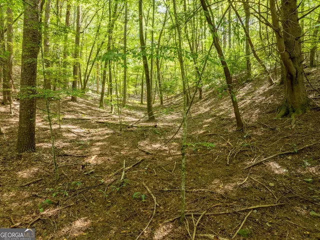 a view of outdoor space with deck and tree