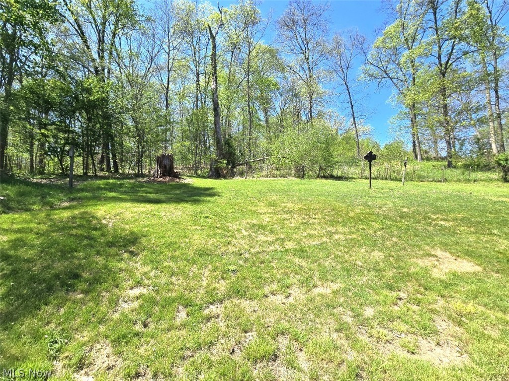 2361 Carpenter Run Road Waverly, WV 26184 - Photo 30 of 37