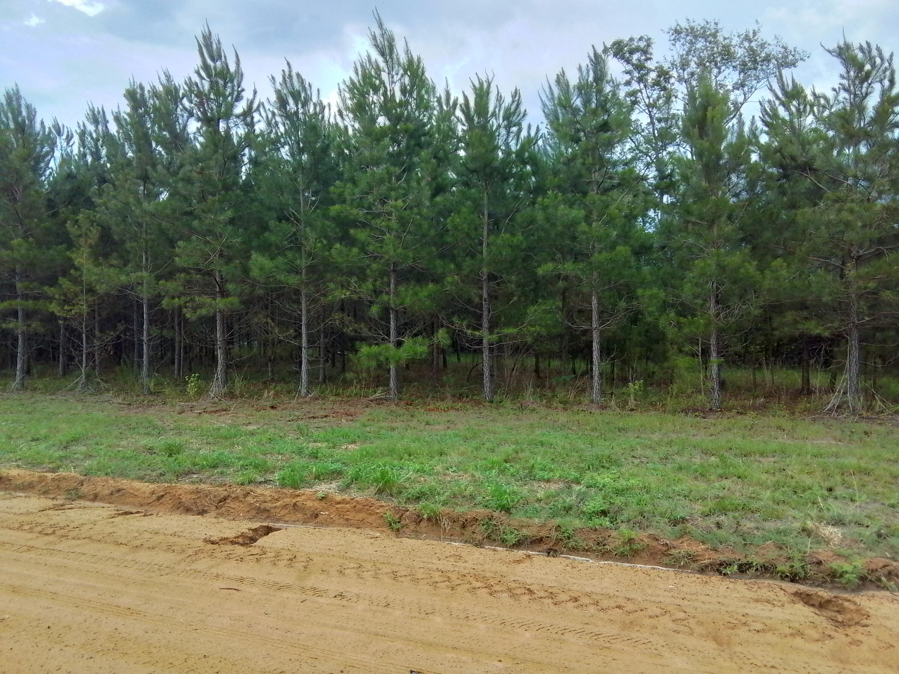 0 Carmichael Circle Cope, SC 29038 - Photo 5 of 5