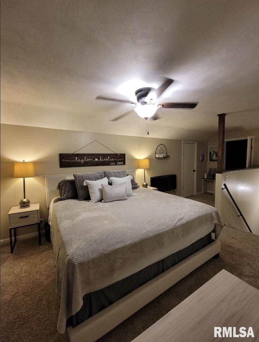 3271 Highway 14 Mulkeytown, IL 62865 - Photo 12 of 16