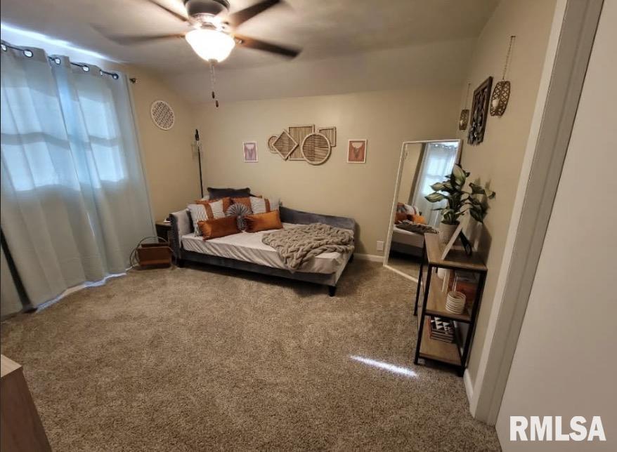 3271 Highway 14 Mulkeytown, IL 62865 - Photo 13 of 16