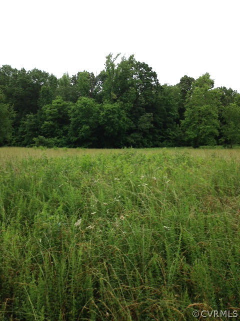 0 Walnut Hill Road Blackstone, VA 23824 - Photo 3 of 4