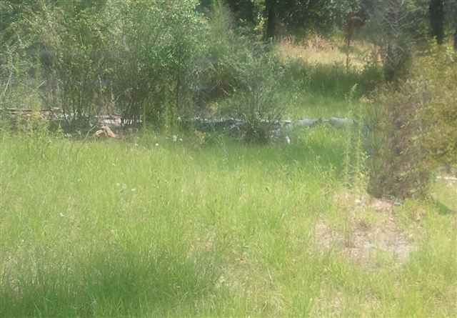 261 Friday Road Quincy, FL 32352 - Photo 1 of 3 Gallery Image 1