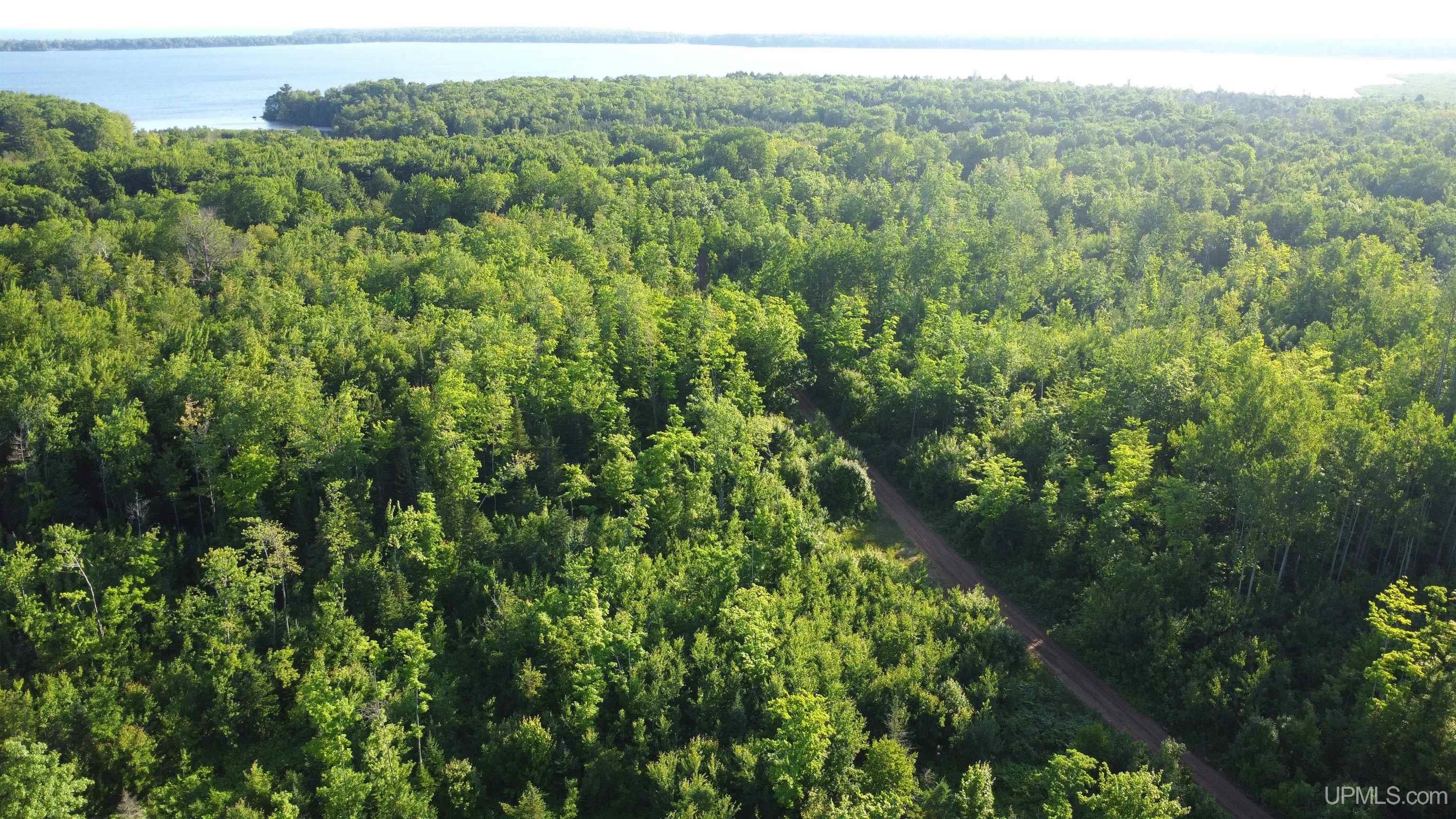 On Alder Cr Road Marquette, MI 49855 - Photo 15 of 20