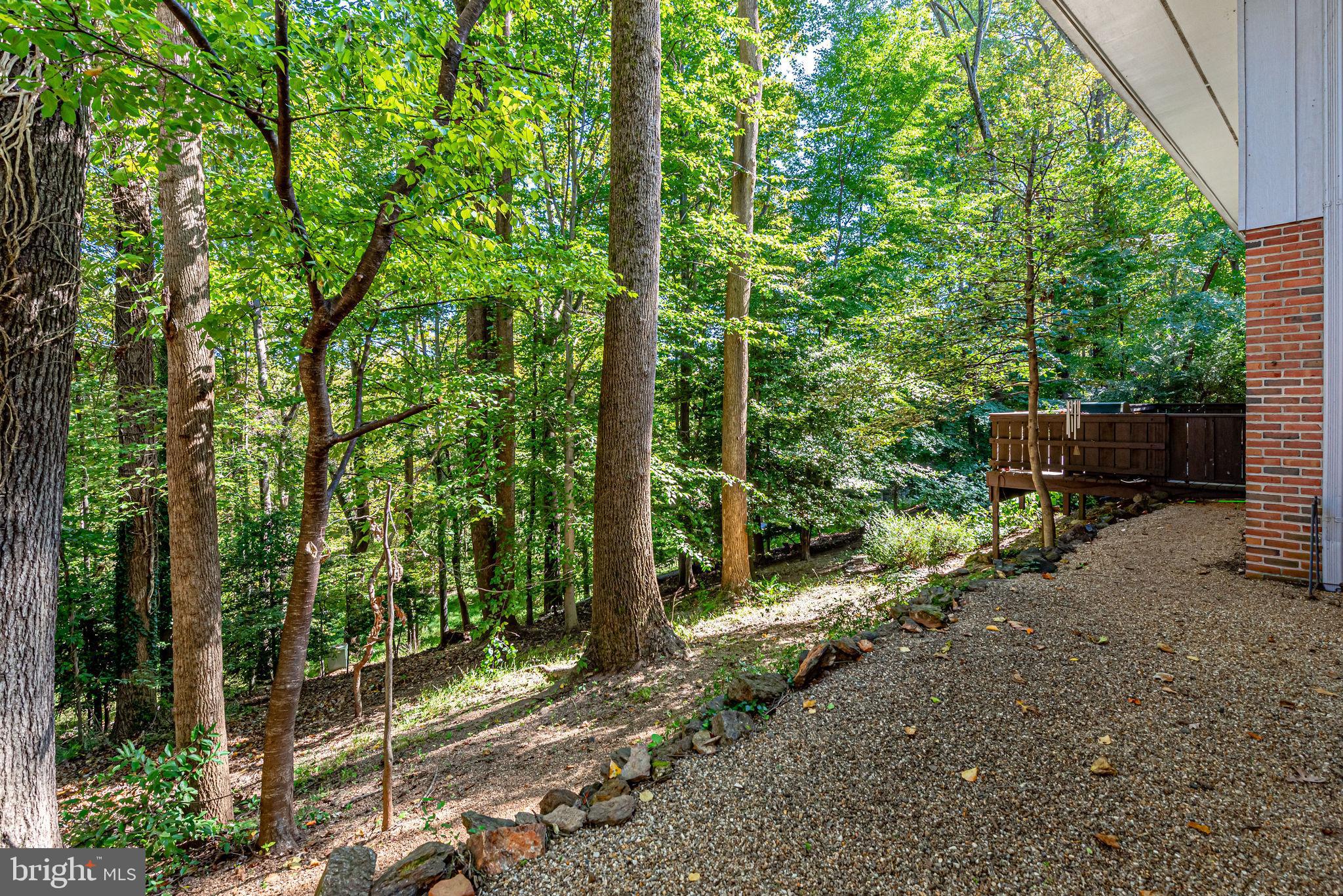 1013 Gelston Circle McLean, VA 22102 - Photo 25 of 33 Surrounded by mature trees