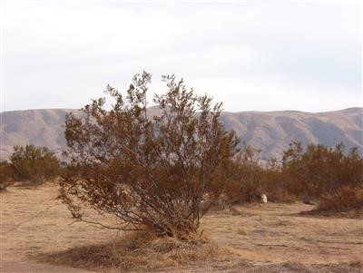 a view of mountain view with mountains in the background