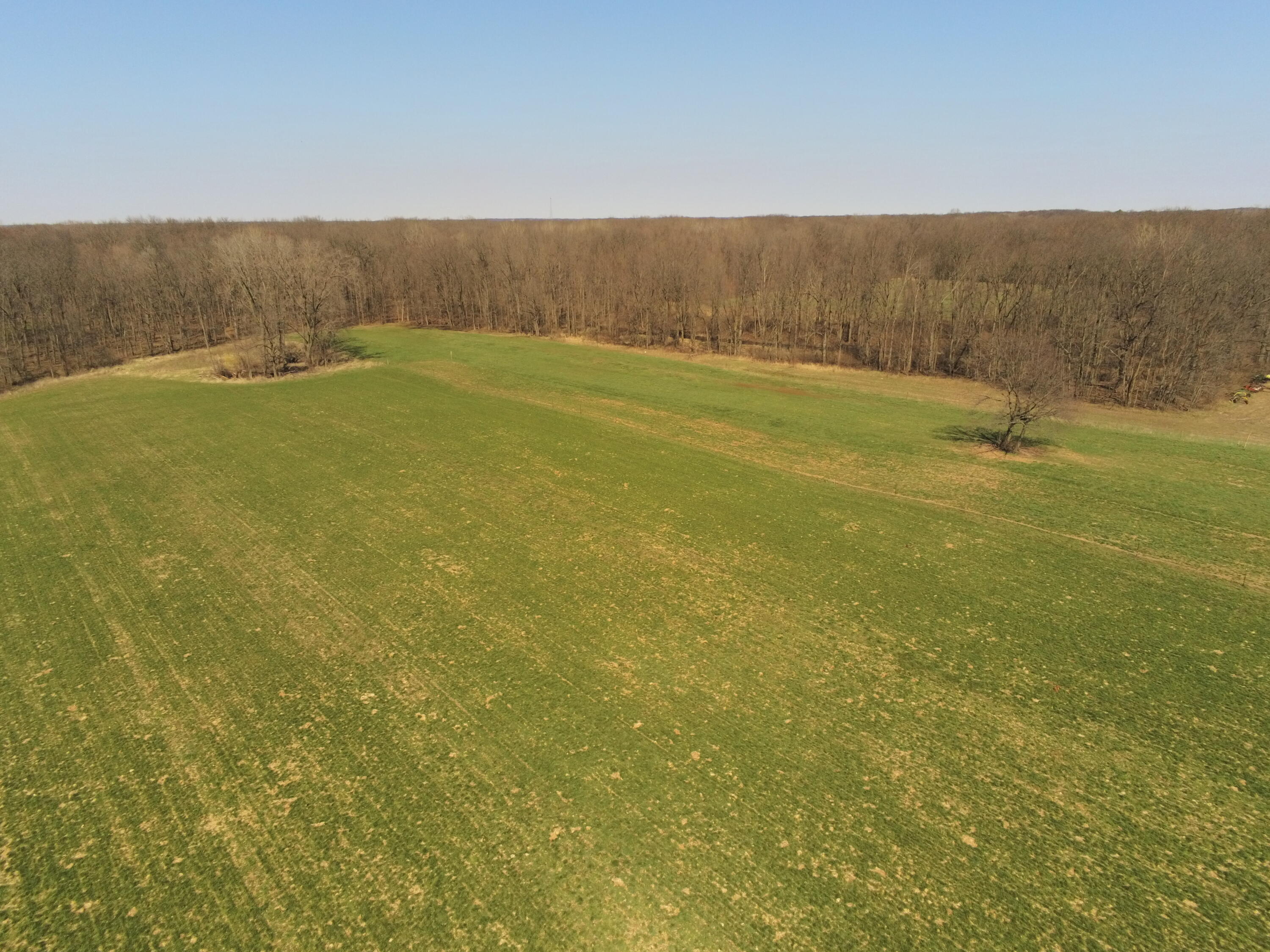 1024 23 Mile Road Homer, MI 49245 - Photo 39 of 44 P5721107