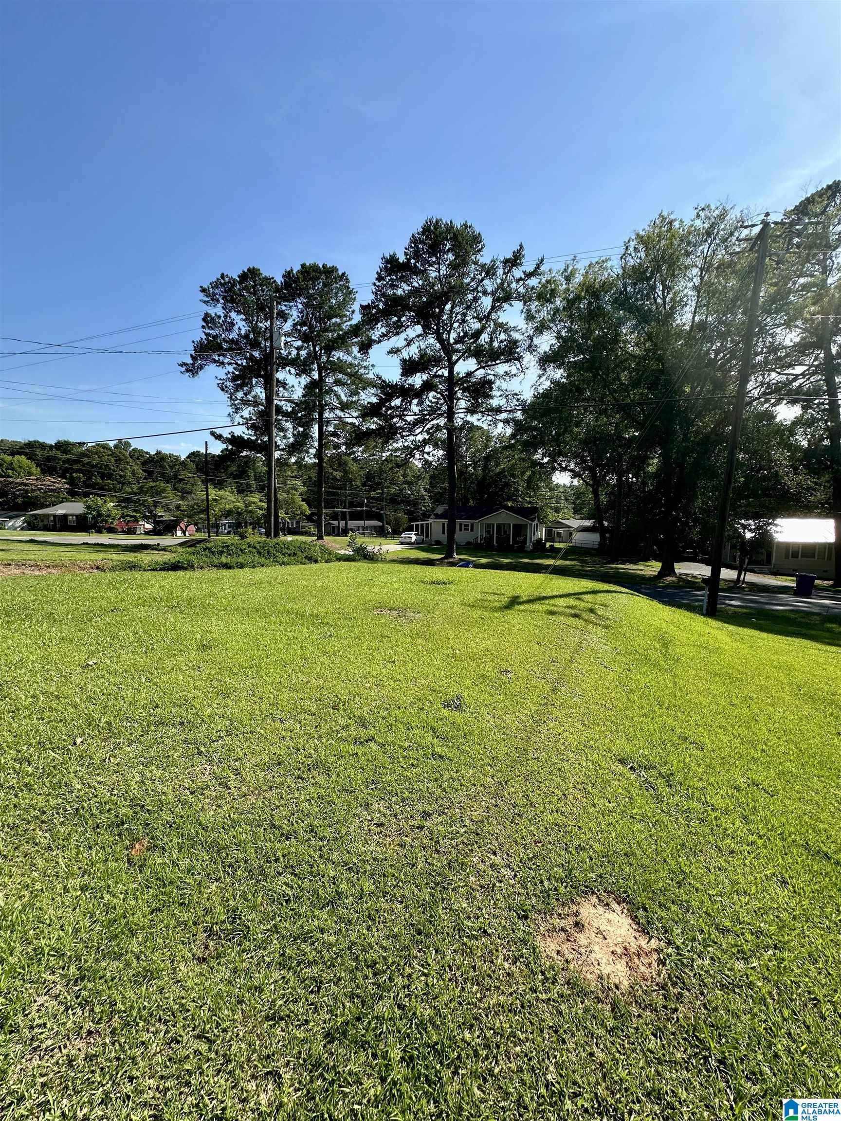 1511 Taylors Mill Road Talladega, AL 35160 - Photo 13 of 18