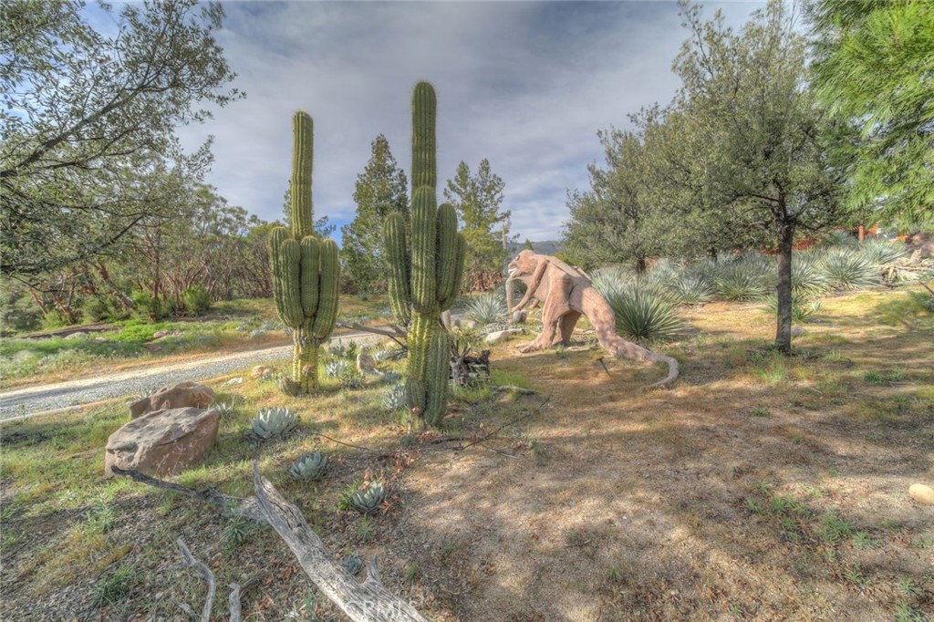 37440 Old Forest Road Anza, CA 92539 - Photo 61 of 72