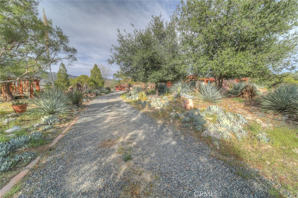 37440 Old Forest Road Anza, CA 92539 - Photo 63 of 72