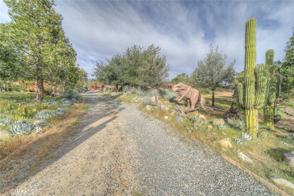 37440 Old Forest Road Anza, CA 92539 - Photo 66 of 72