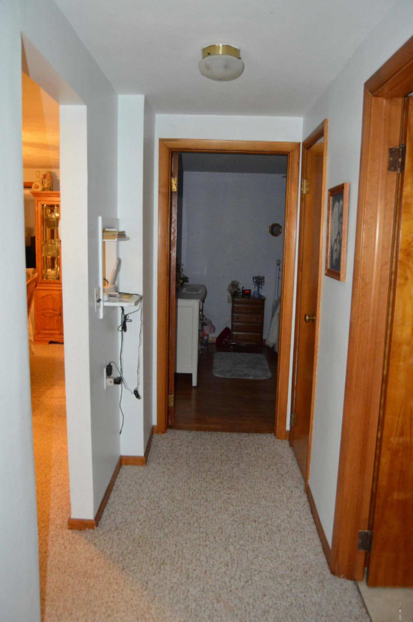 6528 Mt Hope Road South Carson City, MI 48811 - Photo 20 of 25 DSC_0809