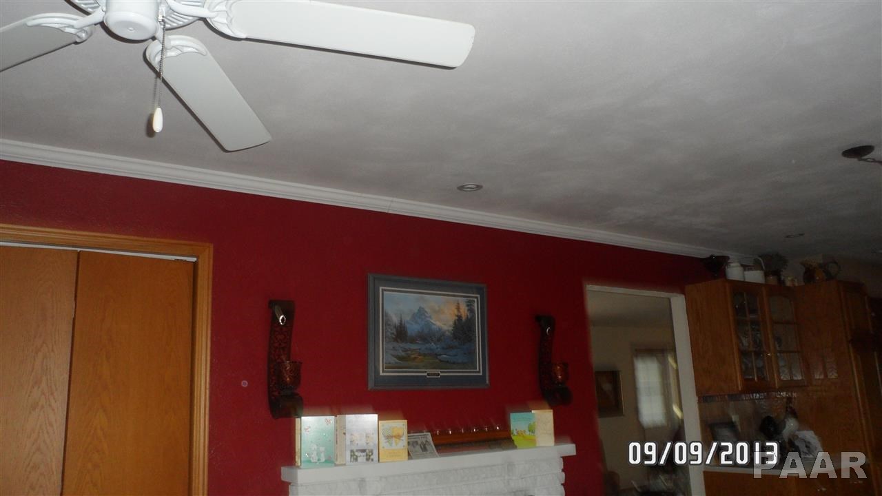 127 Pecan Street Canton, IL 61520 - Photo 6 of 34 Gallery Image 6