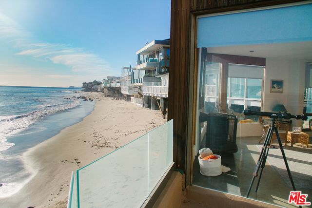 a view of a backyard with plants