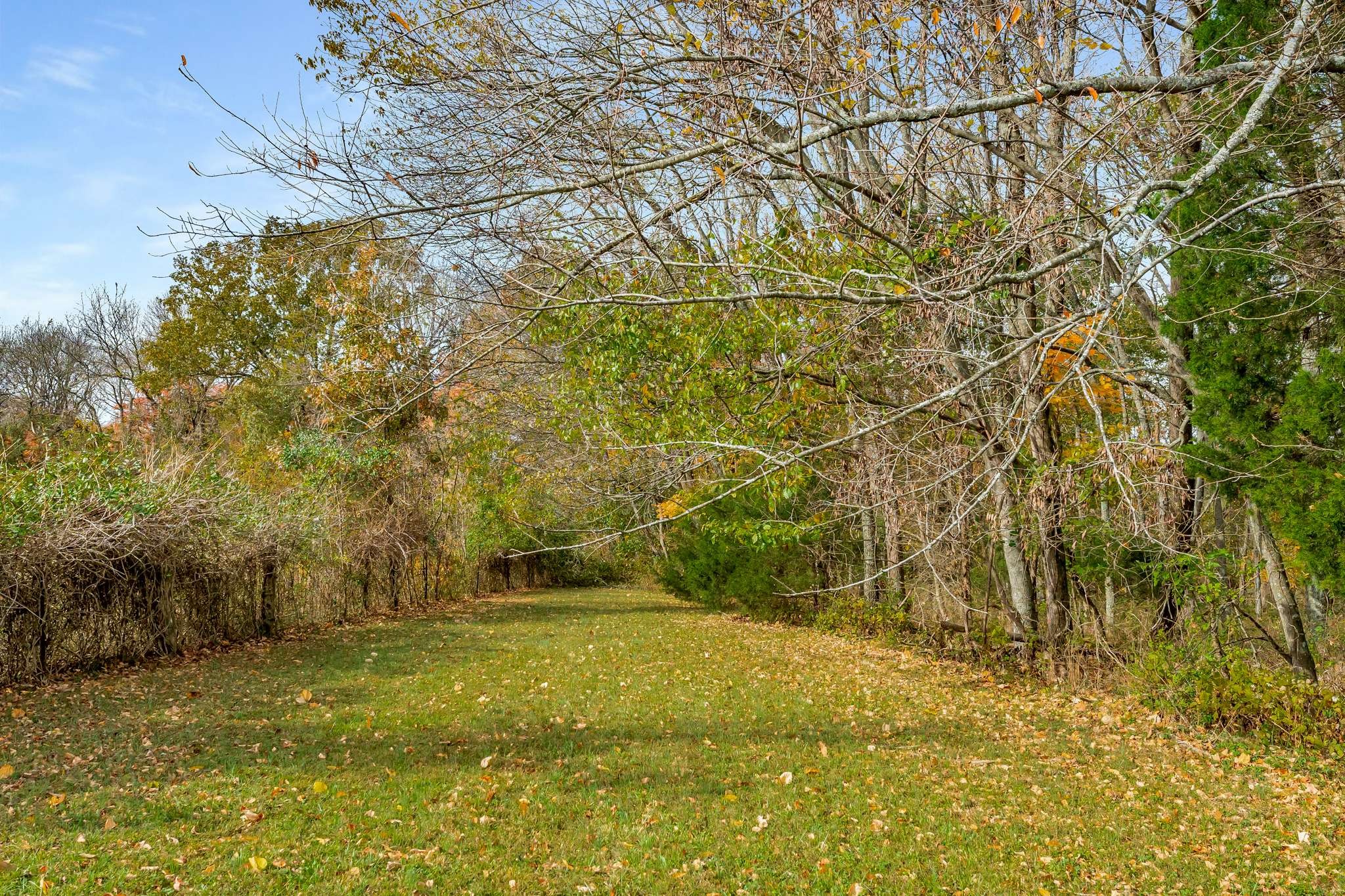 2980 Union Road White House, TN 37188 - Photo 21 of 33 a view of a yard