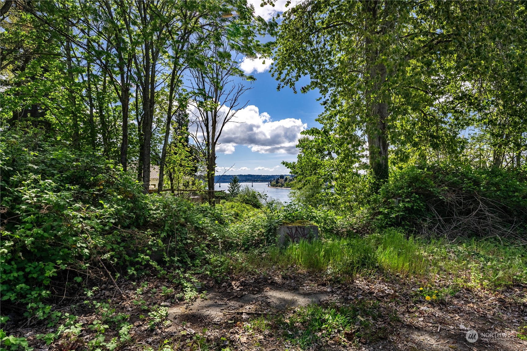 1231 Campbell Way Bremerton, WA 98310 - Photo 11 of 19