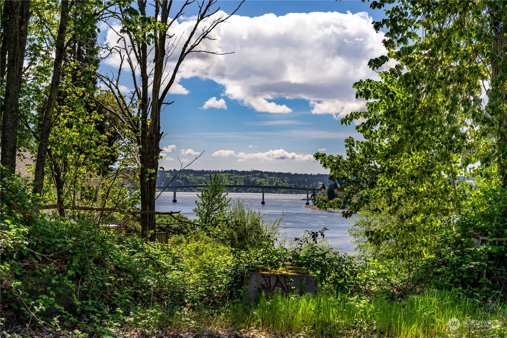 1231 Campbell Way Bremerton, WA 98310 - Photo 12 of 19 a view of a garden