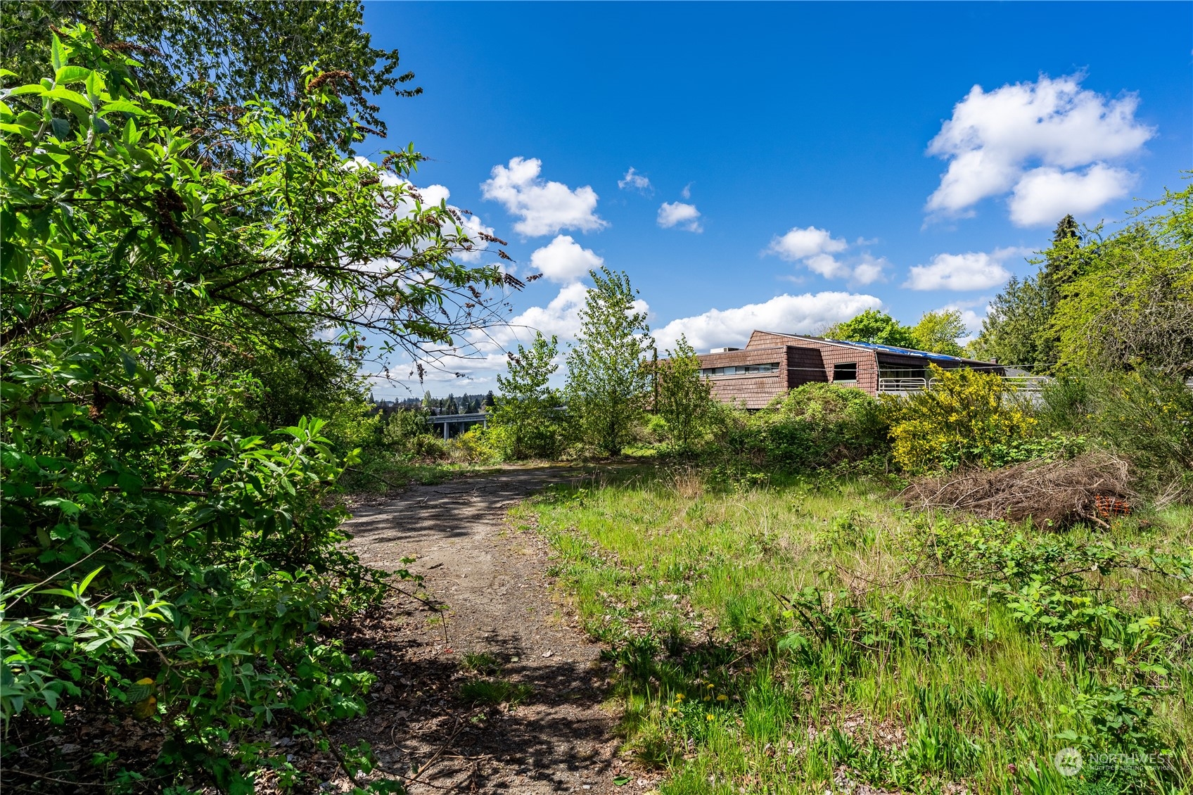1231 Campbell Way Bremerton, WA 98310 - Photo 7 of 19 a view of a yard with a house