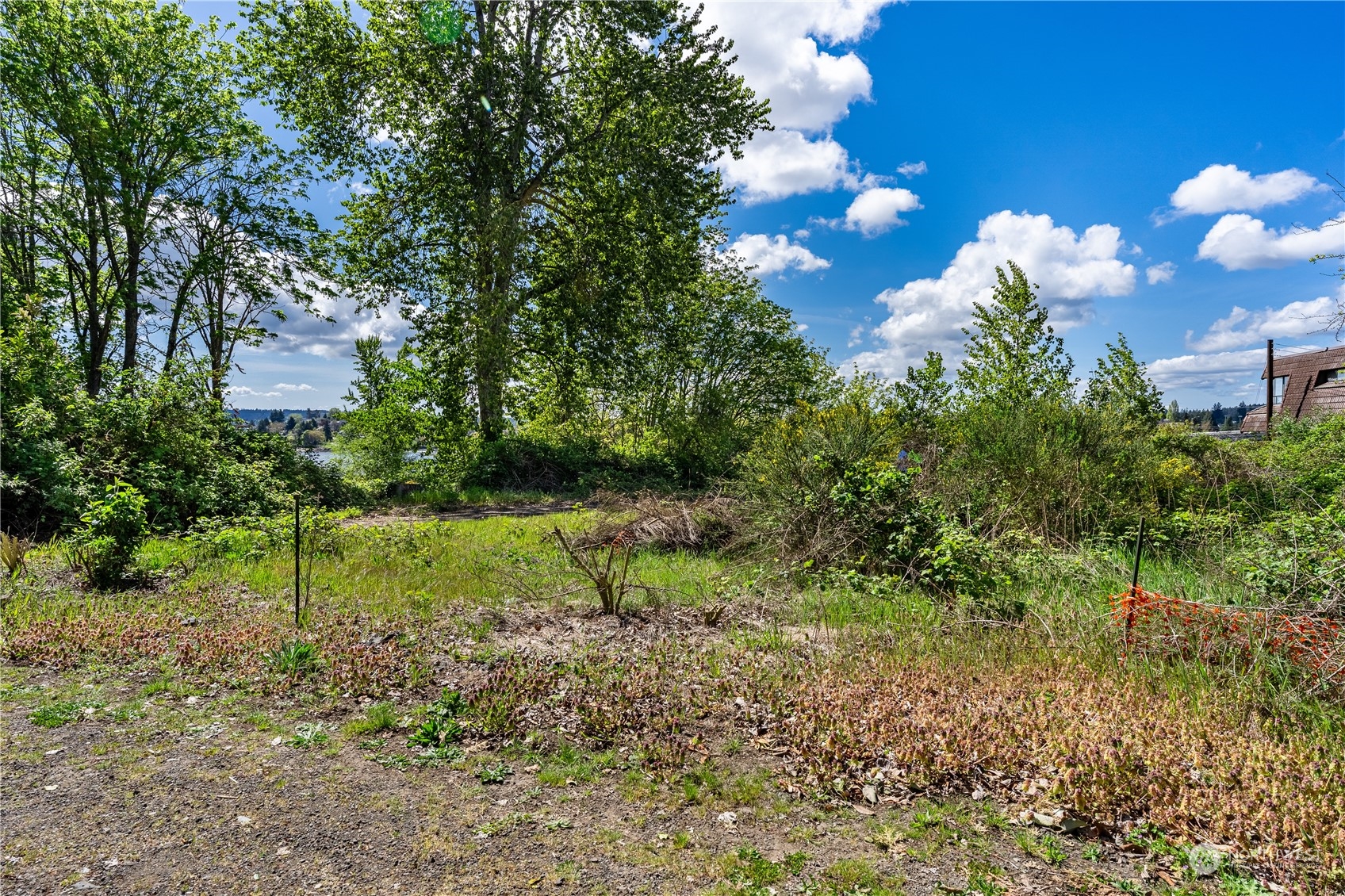 1231 Campbell Way Bremerton, WA 98310 - Photo 9 of 19 a view of a tree in a yard