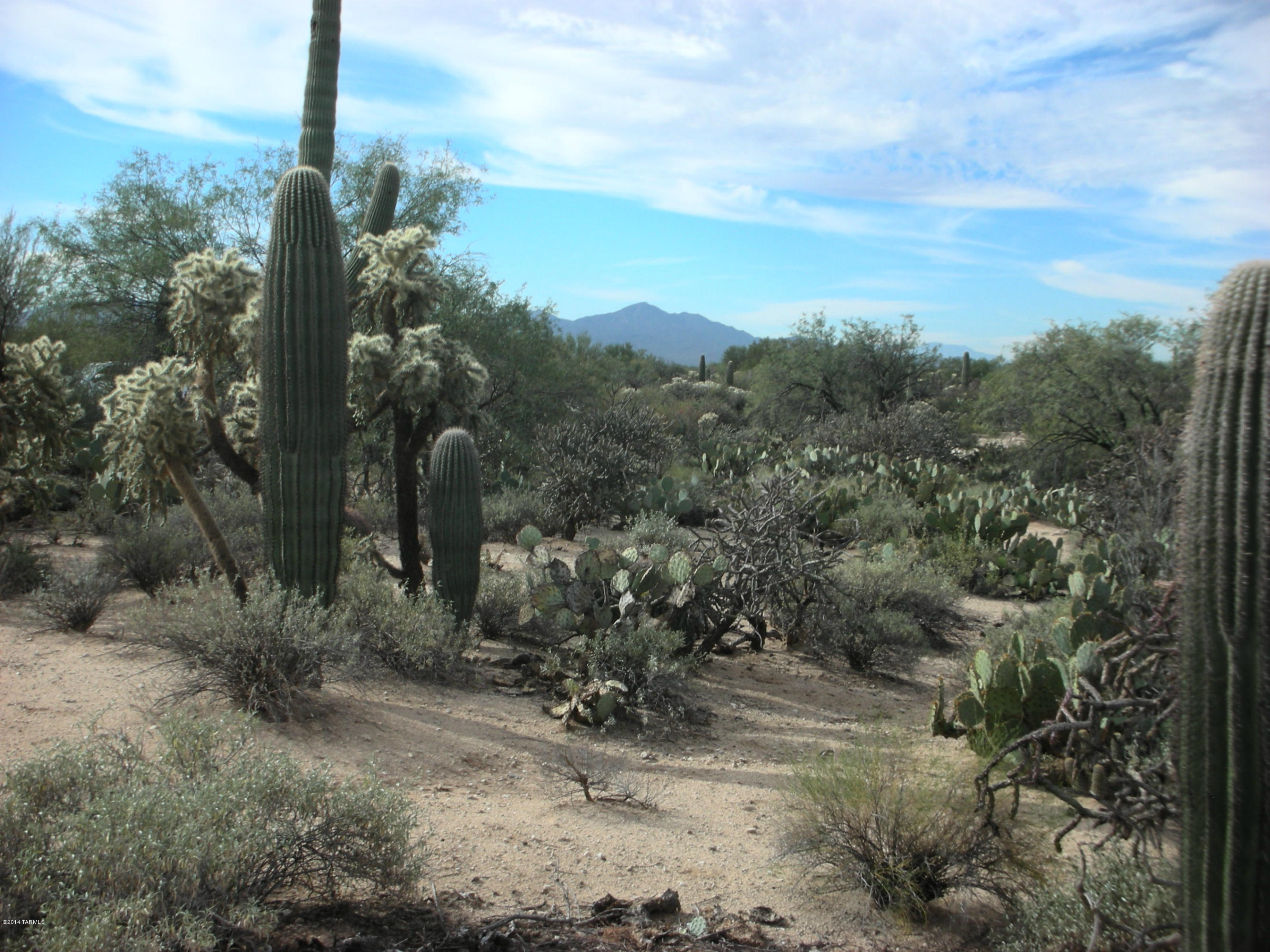 2440 West Glover Road Oro Valley, AZ 85742 - Photo 9 of 12