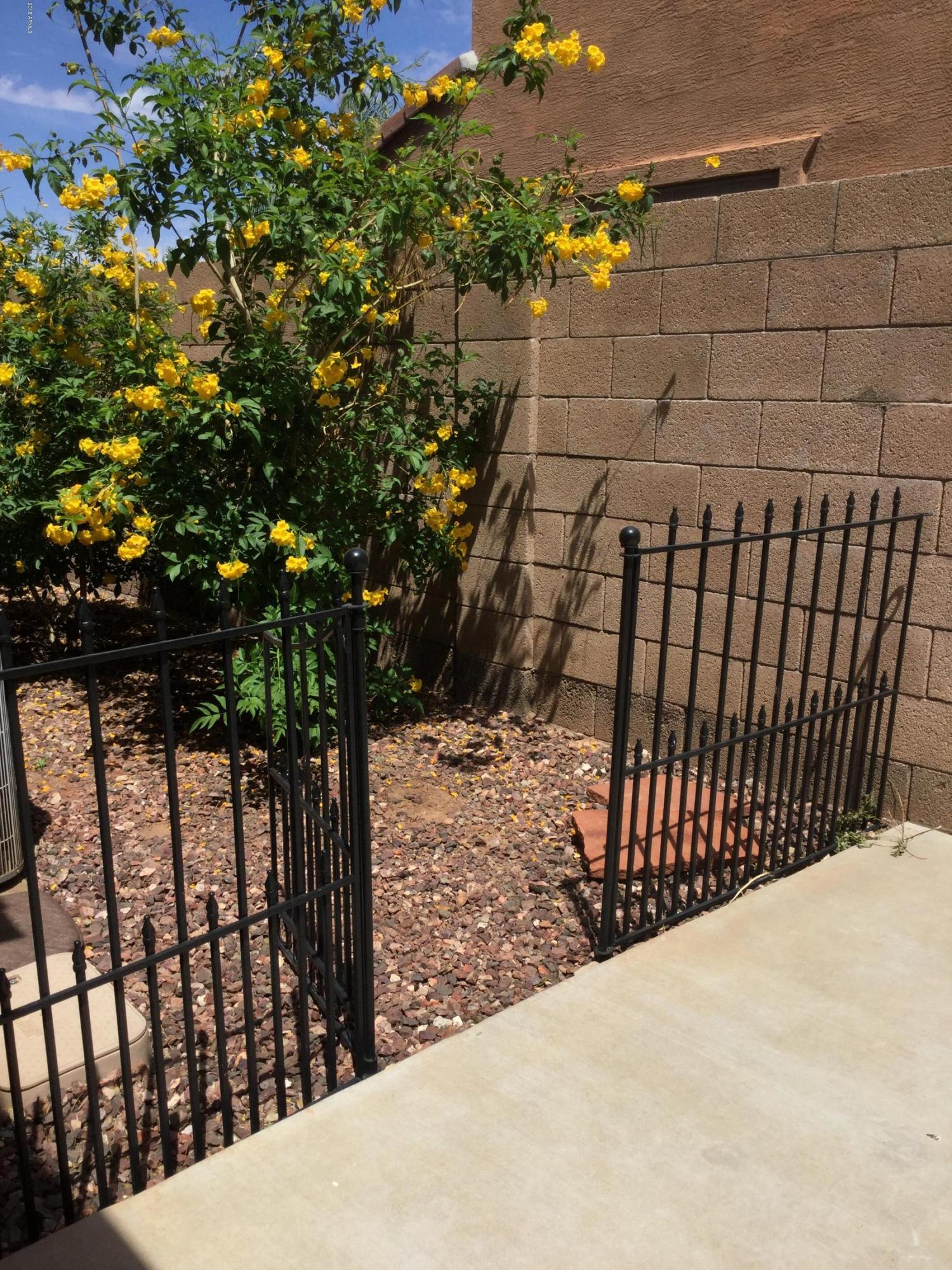 3927 East Bautista Road Gilbert, AZ 85297 - Photo 35 of 37 IMG_7729